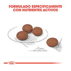 Royal Canin Digestive Care Mini pienso para perros, , large image number null